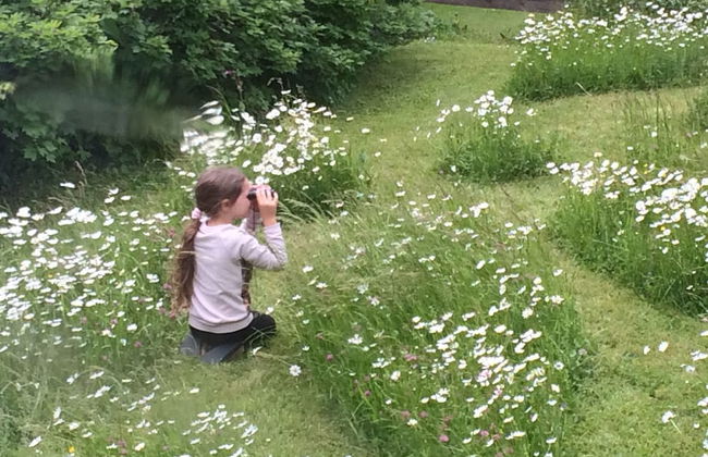 400 Year Old Swiss Chalet - Foto 18