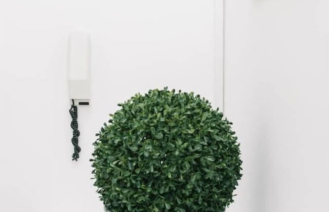 JOIVY Palmerston Place Residence: Luxury City Centre Apt With Private Parking - Photo 14