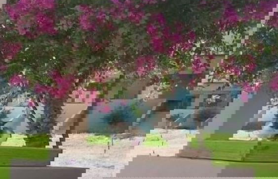 Xanthippi Hotel Apartments - Photo 45