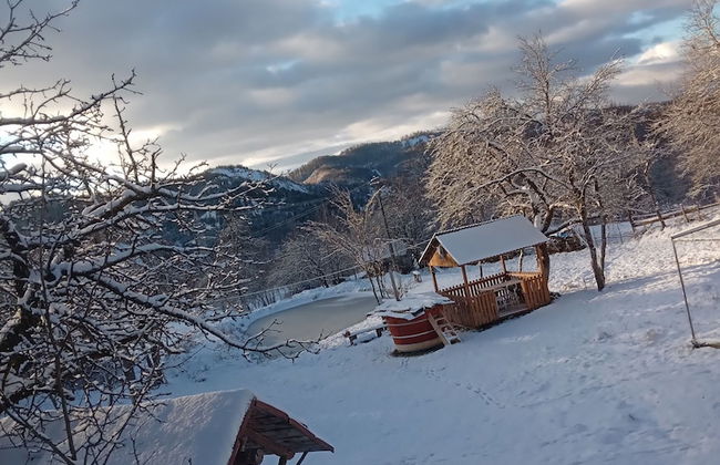 Room in Guest Room - Cozy Rural Retreat in Roşia Montana - Photo 34