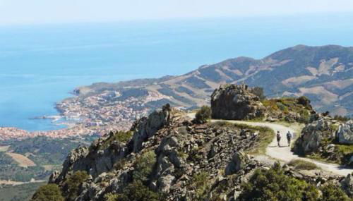 Charmant séjour au cœur des vignes de Banyuls - Foto 3