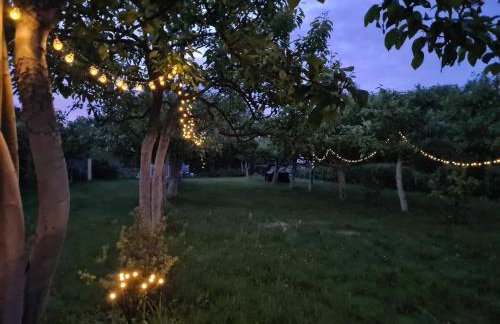 Studio Brzózka - Foto 20