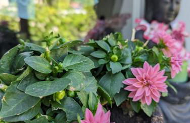 HEIDEWAY KOMPLETTE Wohnung FREI Parken TOP Anbindung A46 - Foto 38