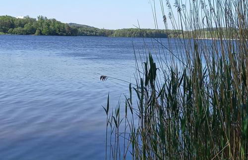 Fewo Schöne Aussicht am Wasserturm - Foto 14