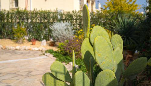 La Mandarina - Foto 2