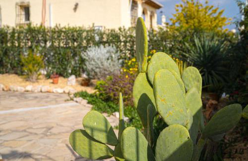 La Mandarina - Foto 2