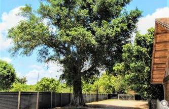 Serene Tiny House Retreat in Japanese Garden - Foto 63