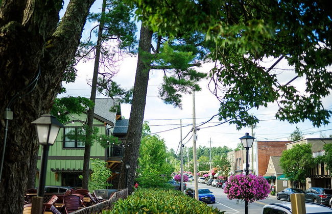 Dogwood at Main & Pine - Foto 18