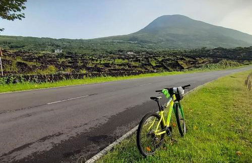 Saudades do Sol y Mar Apartment - Photo 49