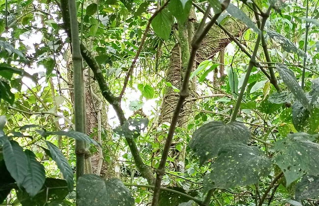 Parque de la Vida Free Tour - Photo 3