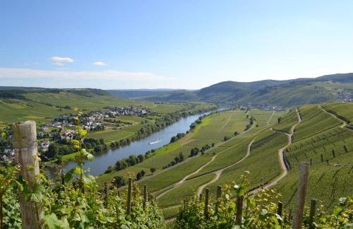 Weingut Mathy-Schanz - Foto 35