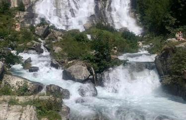 Verde Bosco - Photo 25