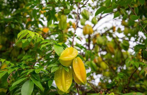 Affordable Luxury on One Acre - Foto 10