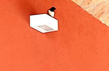 AGRITURISMO AZIENDA AGRICOLA FERRARI M.RITA - Photo 23