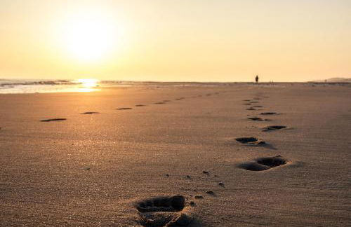 Noorderpad 5 Sternenkieker - Foto 27