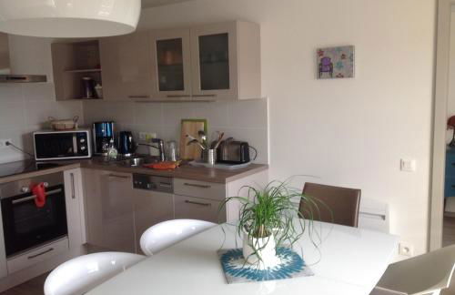 A L'ill - Apparts & Studios Strasbourg Hyper Centre - Foto 38