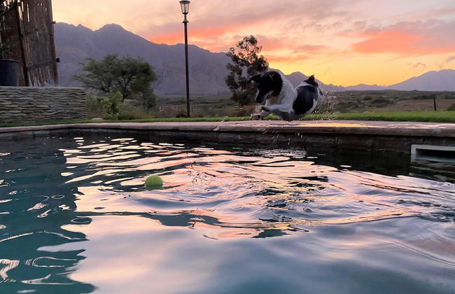 360on62 Mountain View Farm Cottages - Foto 63