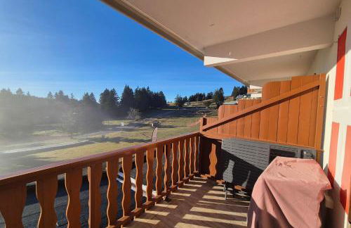 Cozy apartment "WAPITI" at the foot of the slopes - Foto 15