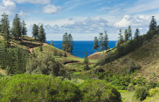 Tintoela of Norfolk - Foto 34