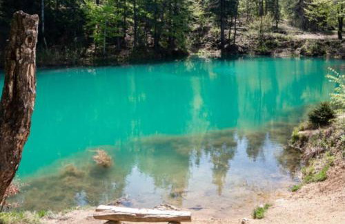 Apartament z kominkiem RetroGlam - Foto 32