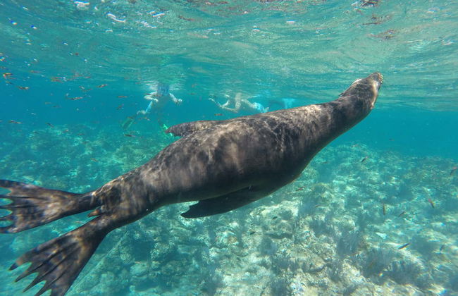 Excursion sur l'île d'Espiritu Santo - Photo 5