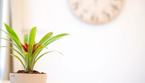 A CASA DI PATTY - Foto 5