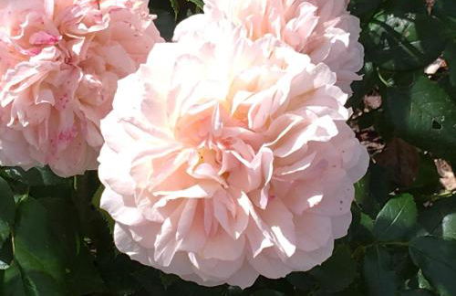 Welsh Gatehouse, Historic Castle which can cater for Electric Vehicle - Foto 34