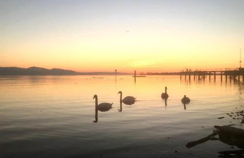 Ferienwohnung Seeglück- hochwertige Wohnung im Villenviertel mit Südbalkon - Foto 21