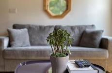 The Cabin at Parkhill - Foto 9