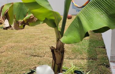 loft das flores - Foto 9