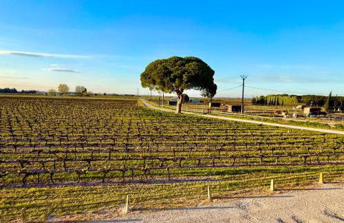 Les Appartements du Mas - EMERAUDE - Foto 38