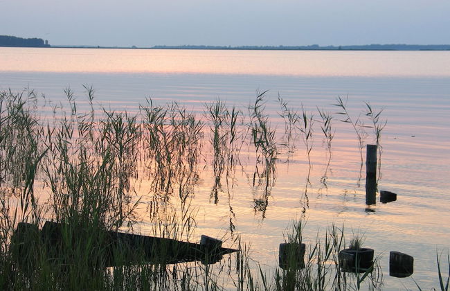 Ferienhaus Waldblick - Foto 45