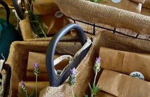 Reserva Pedra da Mata - Foto 59