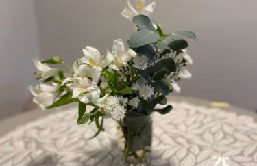 Apt completo climatizado Wi-Fi garagem coberta - Photo 5