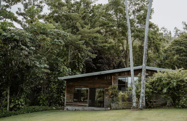 Castle Rock Farm - Photo 29