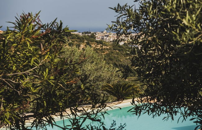 Tenuta Olive Alive - Foto 80