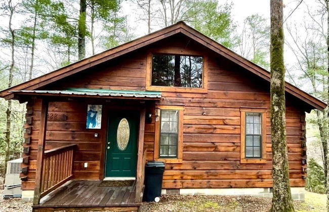 Perfectly private! Hot tub, king sized bed, grill, washer/dryer, and motorcycle friendly! Studio Cabin by RedAwning - Foto 1