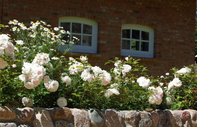 Holiday Apartment Nordwind - Foto 26