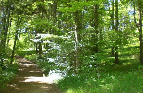 Ferienhof An der Lay - Foto 26