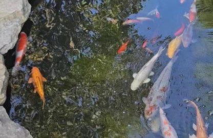 Peaceful home - Foto 47