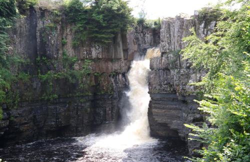 18 Thorngate Wynd - Photo 50