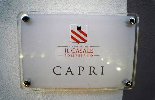 IL CASALE POMPEIANO - Foto 25