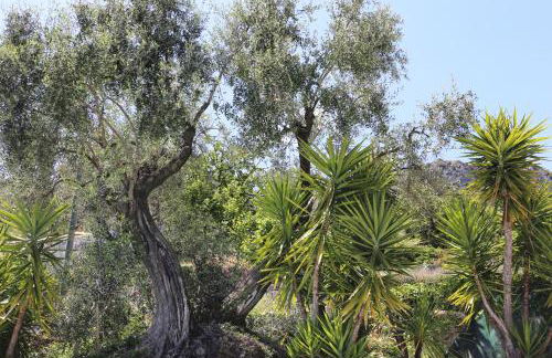 Villa avec vue, piscine et aircon - Foto 18