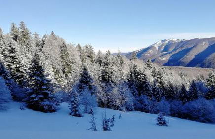 Ustou Guzet neige, appartement de 32 M2 avec balcon dans les Pyrénées aux pieds des pistes - Foto 19
