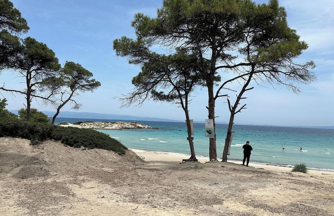 Luxury Rental Villa for 14 People - Foto 50