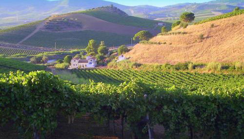 Agriturismo Tarantola - Foto 3