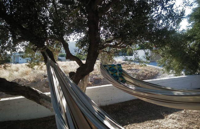 Apartments With Garden View Creta Ierapetra - Foto 21