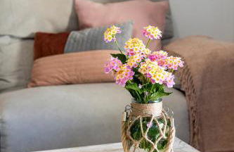 Apartamentos rurales Posada de Monfragüe con jacuzzi - Foto 9