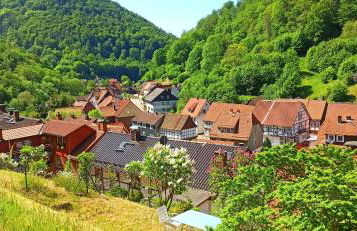 Arode Hütte Harzilein - Romantic tiny house on the edge of the forest - Foto 25