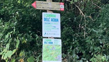 M.Sommer House - Foto 2